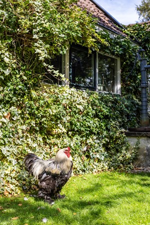 Medium property photo - Halbe Wiersemaweg 6, 9365 TB Niebert